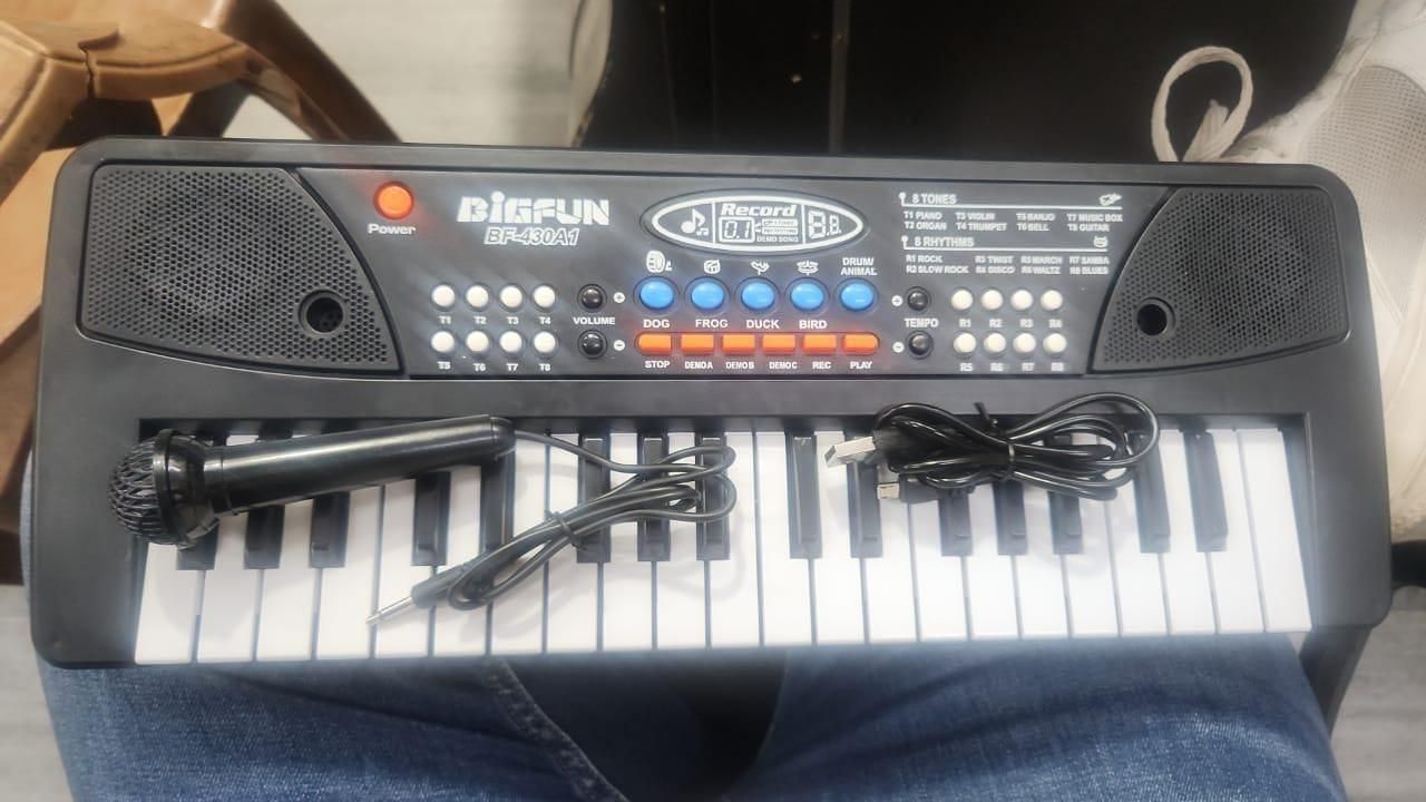 Piano Keyboard Toy with Microphone, USB Cable & Sound Recording